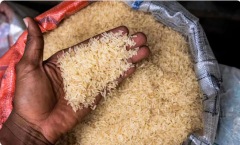 #الهند تشدد القيود على صادرات الأرز