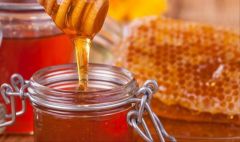 العسل يقتل الفطريات ويضمد الجروح