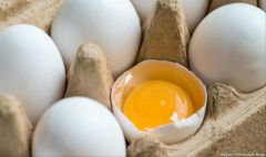 كيف تحافظ على البيض طازجا وصحيا لمدة طويلة؟