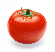 ​طماطم معالجة قد تساهم في علاج بعض الأمراض