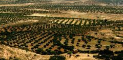 تداعيات تغير المناخ.. التونسيون مهددون بالعطش بسبب الجفاف وشح الأمطار