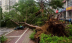 مصرع وإصابة 38 شخصاً إثر إعصار قوي في #الصين