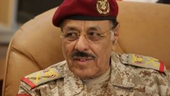 الأحمر: قادة الخليج أظهروا قدرة غير عادية في انتشال اليمن من متاعبه