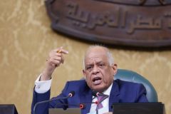 رسميًّا.. البرلمان المصري يقر اتفاقية ترسيم الحدود البحرية بين المملكة ومصر
