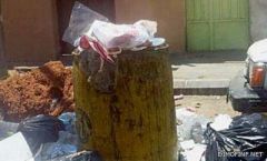 صغر الحاويات وتأخر الناقلات يكدس النفايات بأحياء تبوك