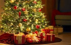 حظر استيراد “شجرة الميلاد” للمملكة