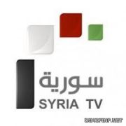 “نايل سات” توقف بث القنوات السورية الرسمية استجابة لتوصية من الجامعة العربية