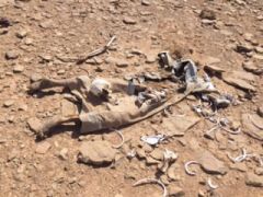 العثور على جثة متحللة في صحراء السليل