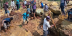 مئات الأشخاص دفنوا بانهيار التربة في بابوا #غينيا_الجديدة.