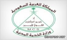 «الخدمة المدنية» تفوض «فروعاً» بمراقبة إحلال «السعوديين» في الوظائف «الحكومية»