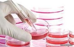 دراسة حديثة تكشف عن تطوير الخلايا الجذعية من دم المريض