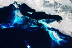 صور فضائية رائعة لـ”الشعاب المرجانية” بسواحل المملكة