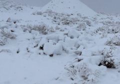 شاهد.. الثلوج تتساقط على #تبوك و #جبل_اللوز يكتسي باللون الأبيض