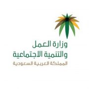 #العمل : برنامج “دعم التوظيف” يستهدف تدريب السعوديين خارج المملكة